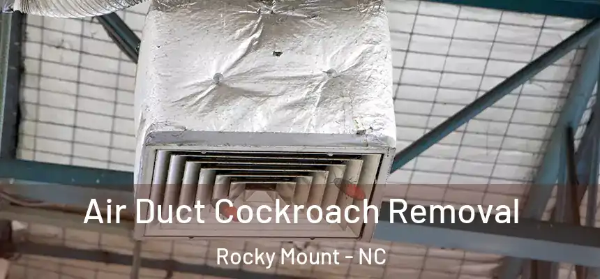  Air Duct Cockroach Removal Rocky Mount - NC