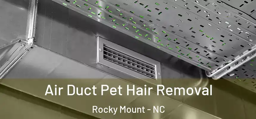  Air Duct Pet Hair Removal Rocky Mount - NC