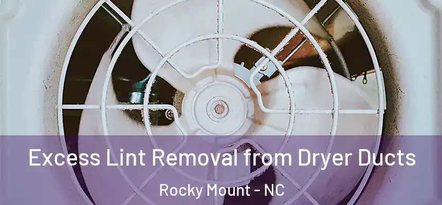  Excess Lint Removal from Dryer Ducts Rocky Mount - NC