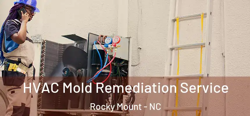  HVAC Mold Remediation Service Rocky Mount - NC
