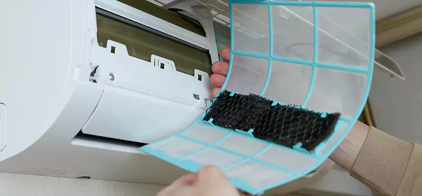 Gentle Ductwork Odor-Control Pet Dander Duct Cleaning in Rocky Mount, NC