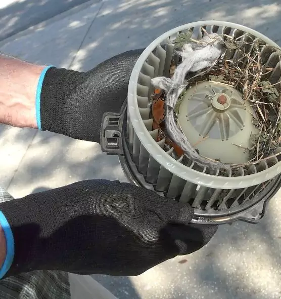 About Air Duct Mice Removal in Rocky Mount, NC