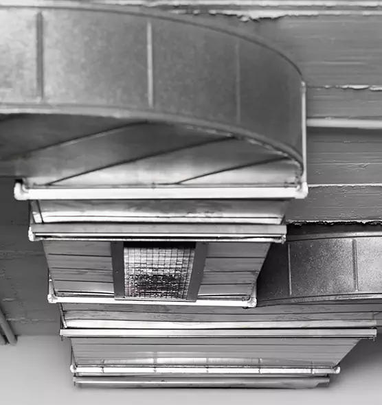 Professional Air Duct Pet Hair Removal in Rocky Mount, NC