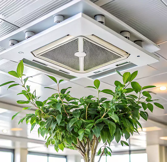 Why Homeowners & Businesses Trust Us in Rocky Mount, NC