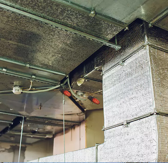 Why Homeowners & Businesses Trust Us Rocky Mount, NC?