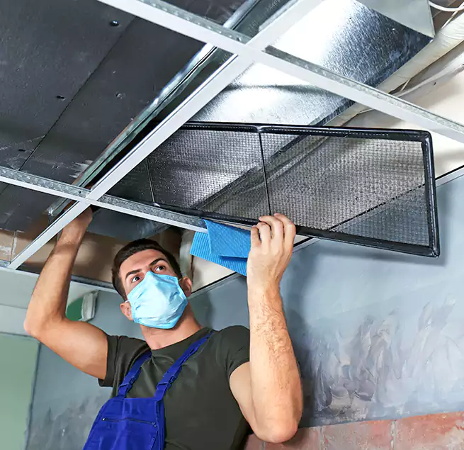 Why Homeowners Businesses Trust Us in Rocky Mount, NC